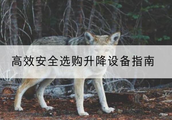 秦州升降货梯厂家推荐-*安全选购升降设备指南