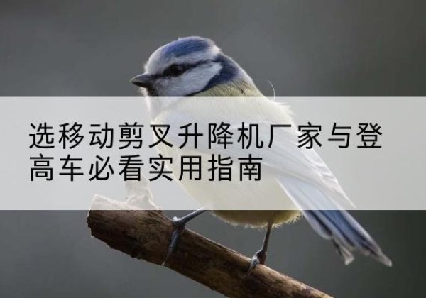 秦州电动升降机厂家-选移动剪叉升降机厂家与登高车必看实用指南