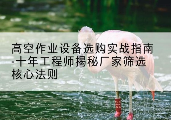 秦州剪叉式升降机厂家-高空作业设备选购实战指南-十年工程师揭秘厂家筛选核心法则